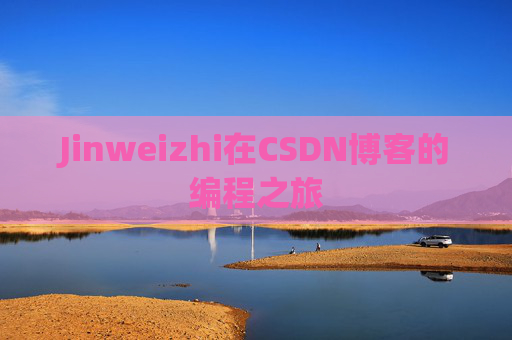 Jinweizhi在CSDN博客的编程之旅